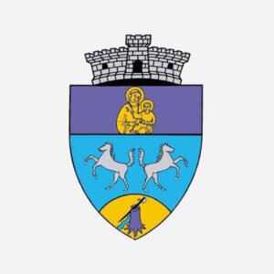 ANUNȚ – LICITAȚIE COMUNA GIARMATA
