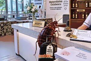 Maternitatea cu chiriași